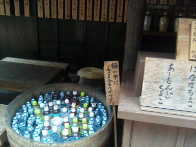 鬼怒川温泉・日光江戸ワンダーランド