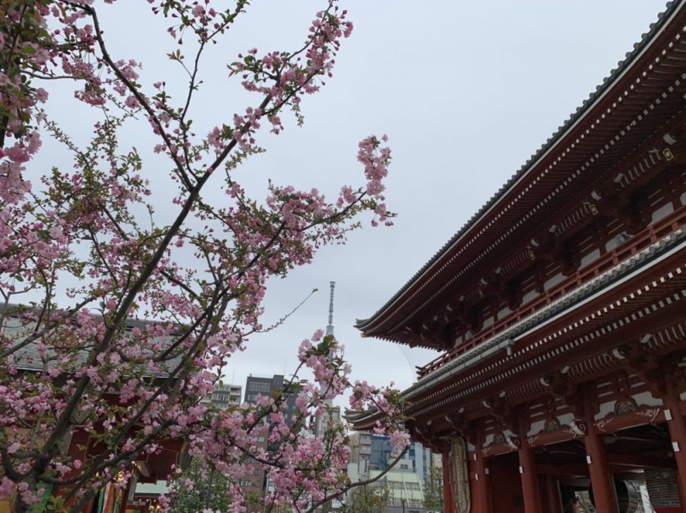 浅草東洋館様　ボーイズバラエティ協会の定席でマジック①（2021年3月）