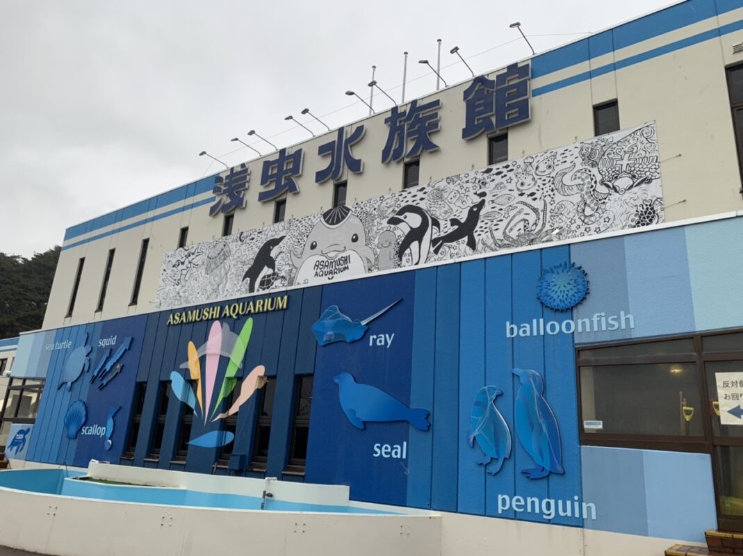 青森県 八戸市で出張マジック後泊編⑤浅虫水族館