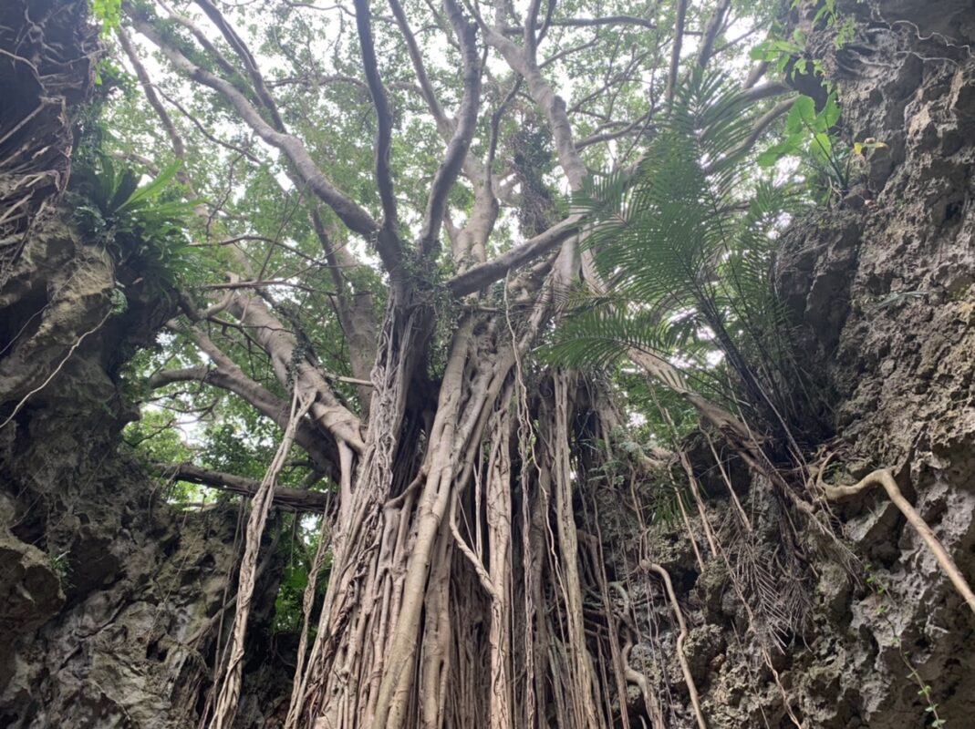 ガンガーラの谷