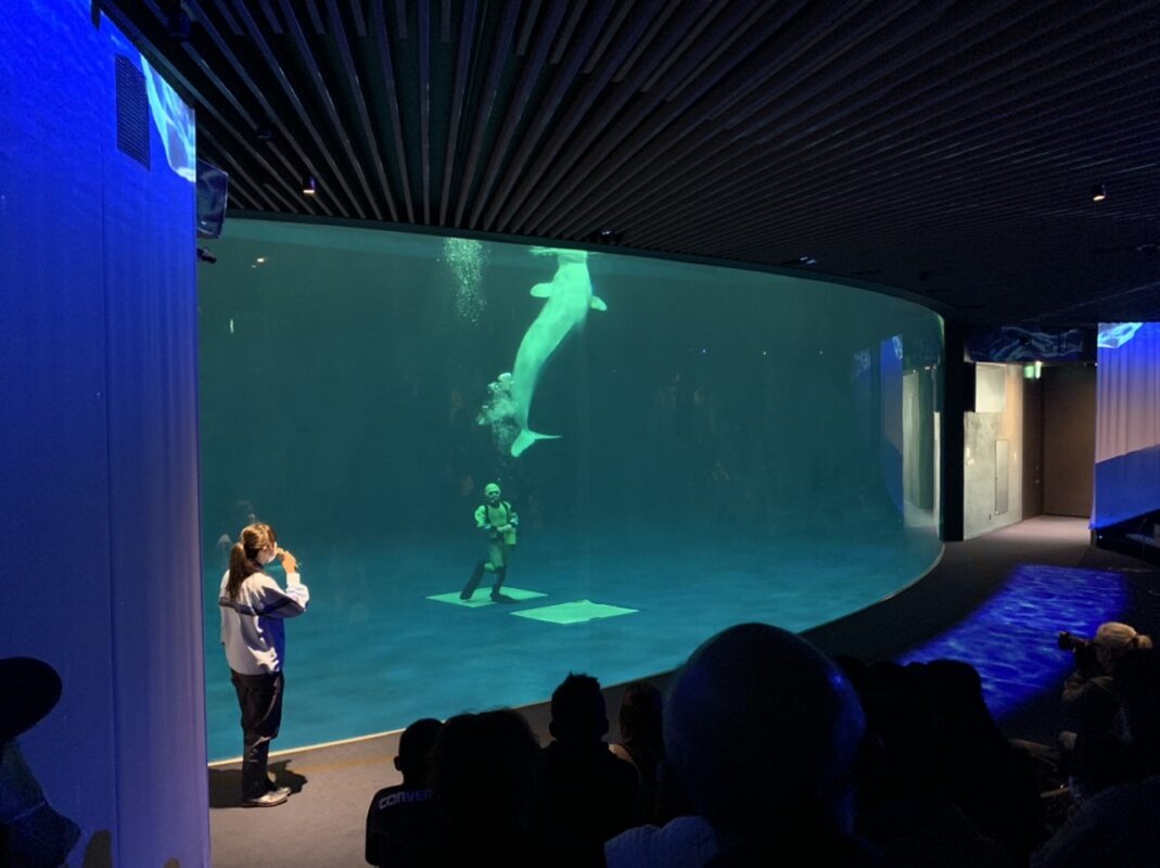 しまね海洋館アクアス