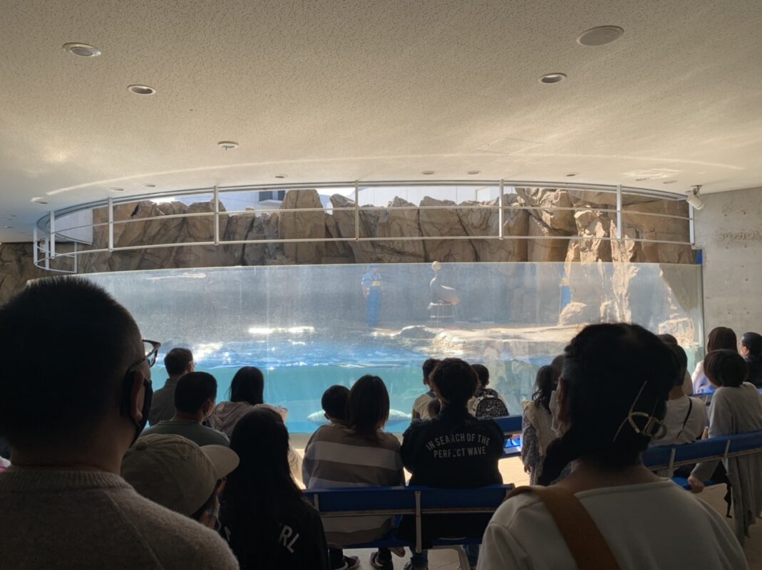 島根旅⑨　アシカ・アザラシパフォーマンス