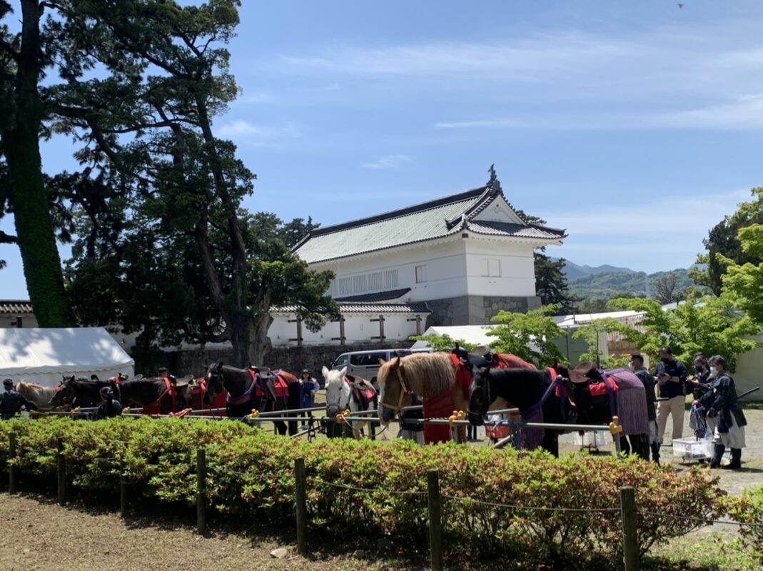 神奈川県小田原市　第59回北條五代祭り