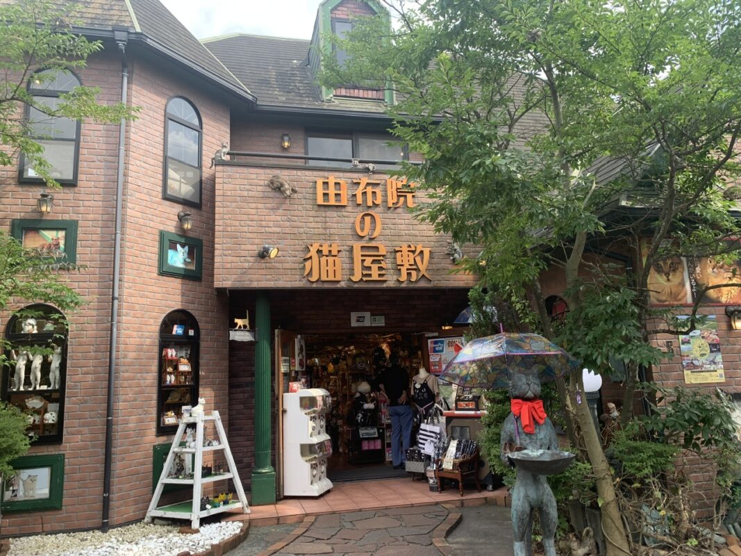 大分 旅⑥　大分県湯布院・湯の坪街道