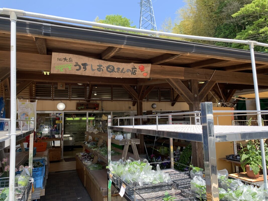 マジシャン山口旅　柳井市・大畠観光センター