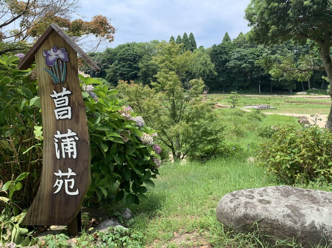宇部市・菖蒲苑