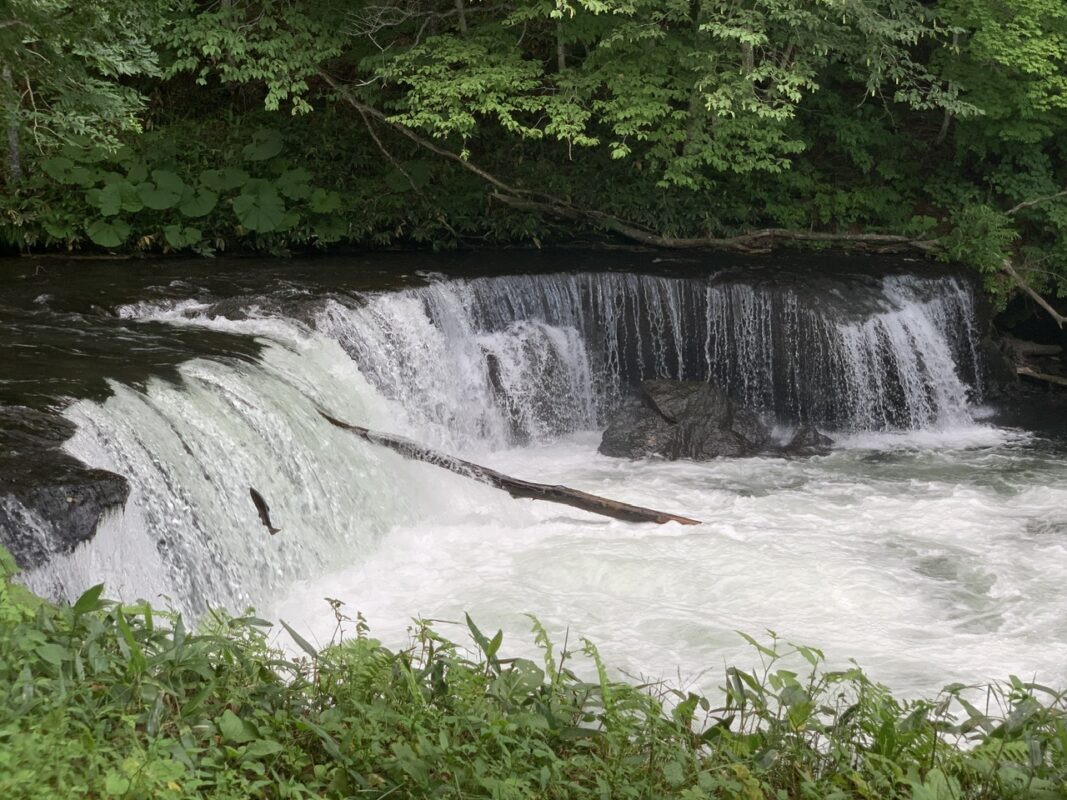 北海道清里町　さくらの滝