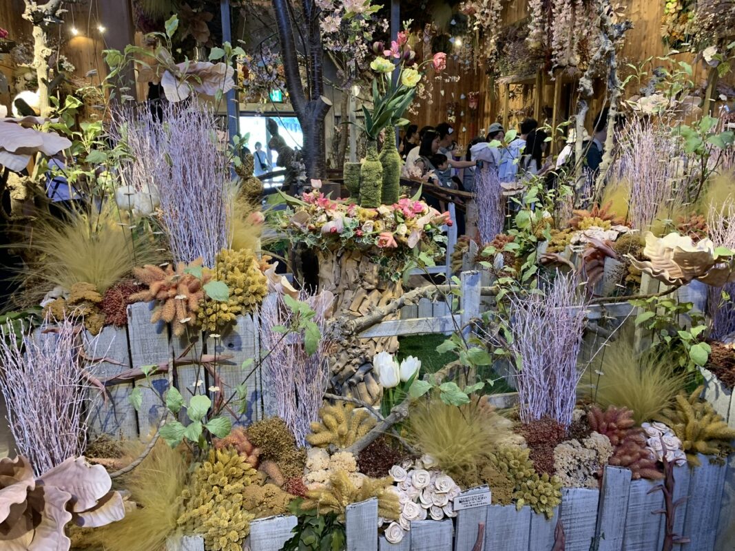 ドライフラワーの舎