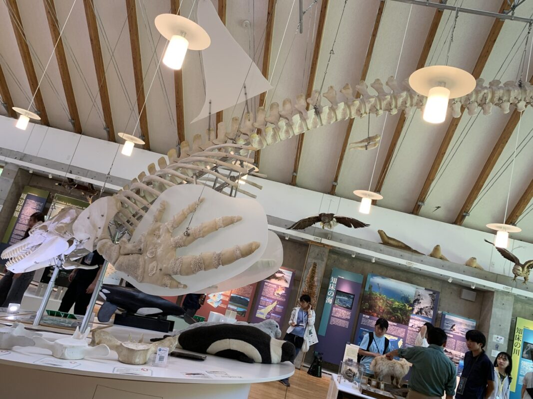 知床羅臼センターセンター