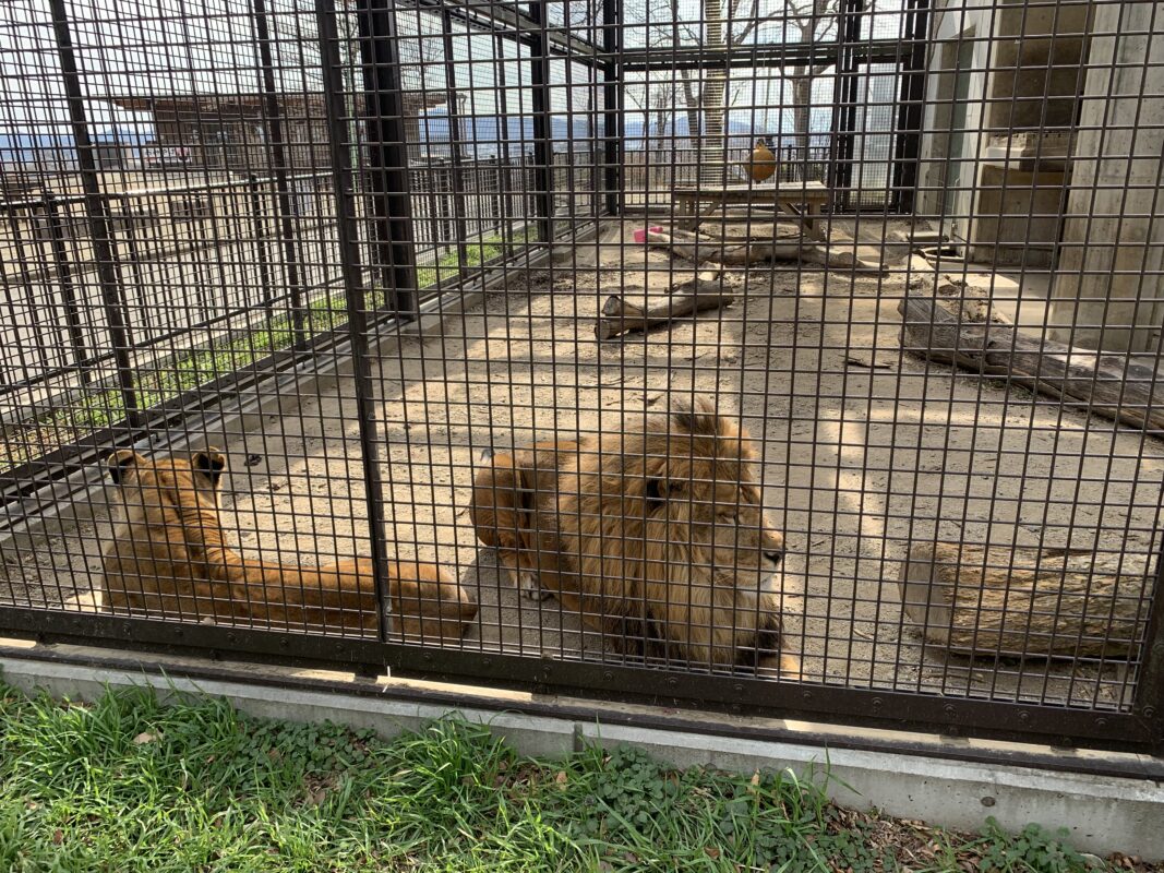 桐生が岡動物園