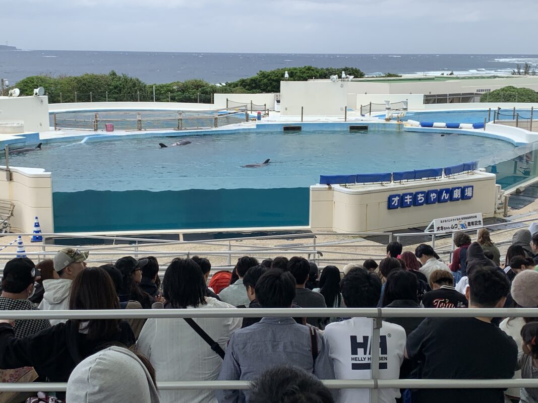 マジシャン 沖縄旅　本部町・オキちゃん劇場