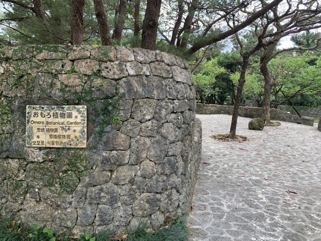 本部　マジシャン