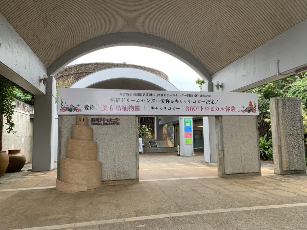 本部　マジシャン