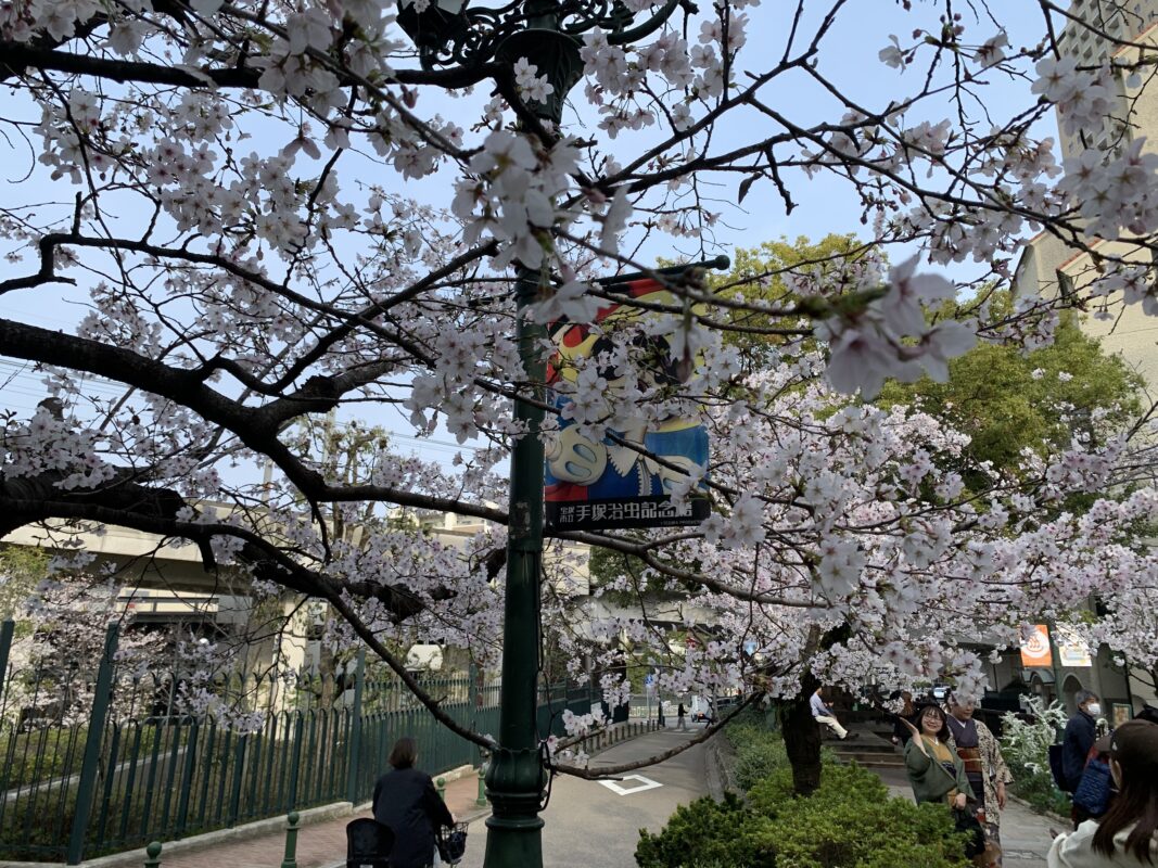 宝塚市・花のみち