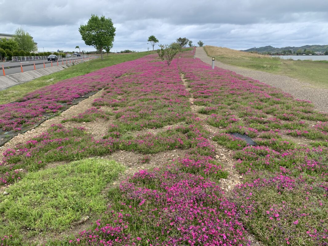 めぐみのゆ公園
