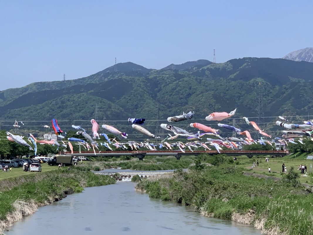 垂井町・相川鯉のぼり