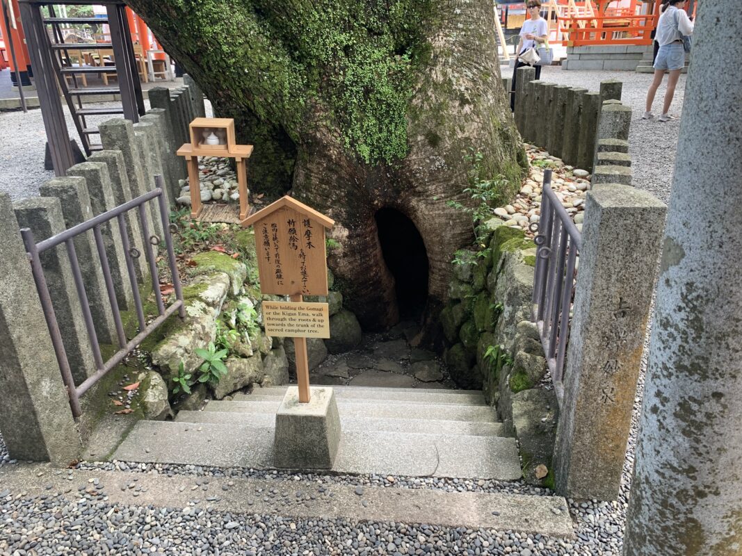 那智の樟