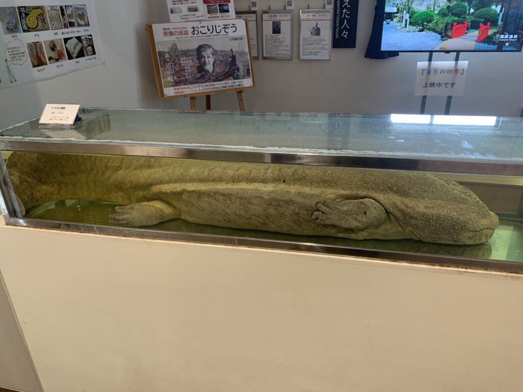 はんざきセンター